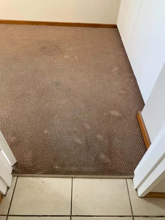 Lounge carpet, George — before cleaning