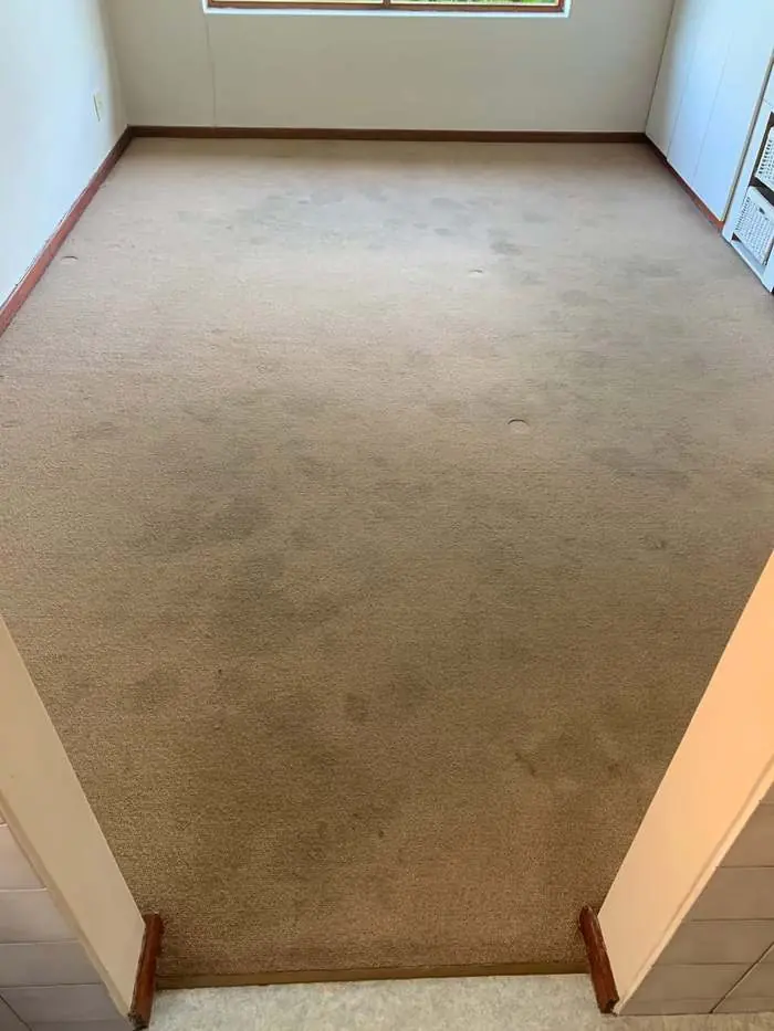 Passage carpet, George — before cleaning