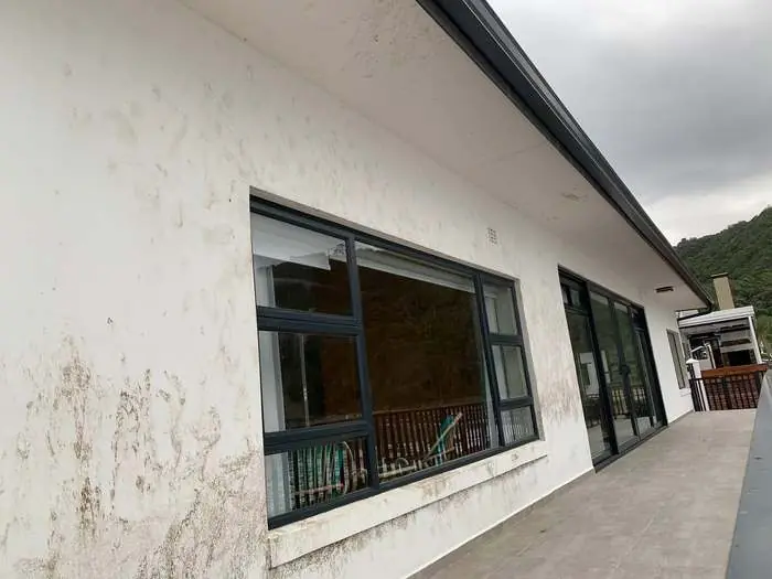 Exterior wall, George — before cleaning
